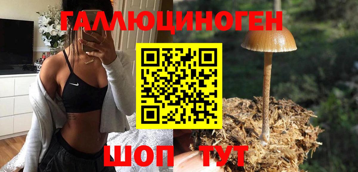 Галлюциногенные грибы мицелий Кстово