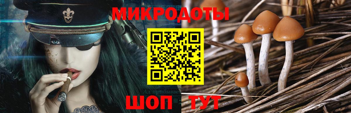 Псилоцибиновые грибы GOLDEN TEACHER  Вход с VPN  Кстово  Галлюциногенные грибы Psilocybe 